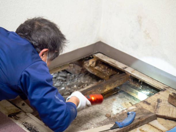 Best Mold Remediation for Specific Building Types in Mount Cob, PA